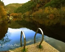 Reflejos en río 