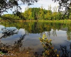 Reflejos de otoño