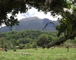 Ventana a la sierra
