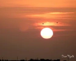 Sol naciente
