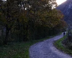 Camino