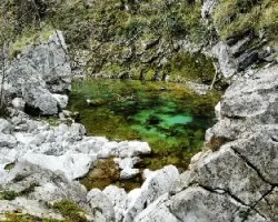 Rio dobra
