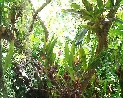 Un rinconcito  de mi jardin