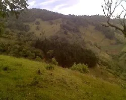 Para pasar un dia de campo