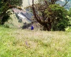 Para pasar un dia de campo