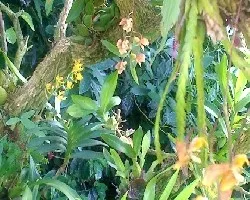 Otro rinconcito de mi jardin
