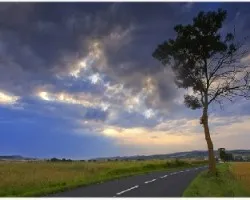 Camino  solitario
