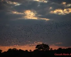 Atardecer