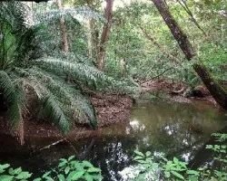 Calma en el Estero