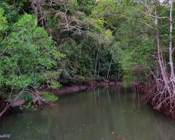 Ecosistema entre Mareas