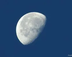 Luna Menguante