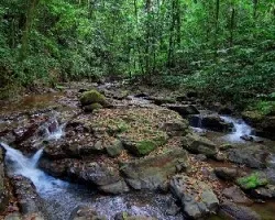 Quebrada Grande