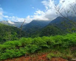 Camino al Río Negro