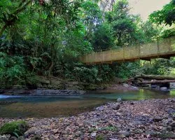 Puente entre Verdes