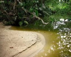 Kelly Creek