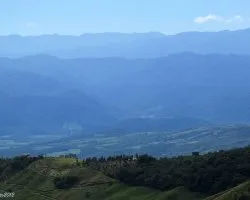 Azules Turrialbeños