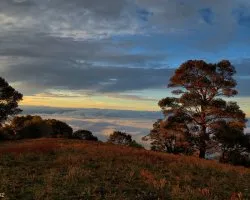 Tarde en la Cordillera