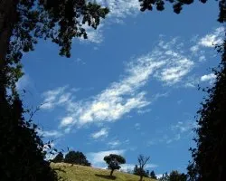 Ventana al Campo
