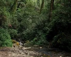 Camino al Cerro