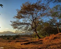Atardecer Chireño