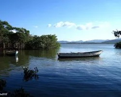 Puerto Palito