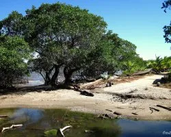 Playa Montero