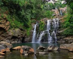 Nauyaca