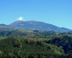De Camino a Pejibaye