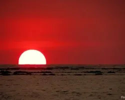 Sol del Pacífico