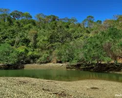 Estero Isleño