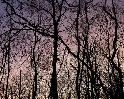 Atardecer Enramado