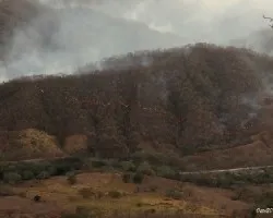 Descuidos Humanos