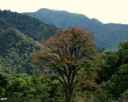 En el camino a Purisil