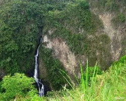 El salto de la novia