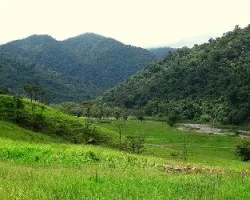 De camino a tapantí