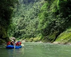 Pacuare