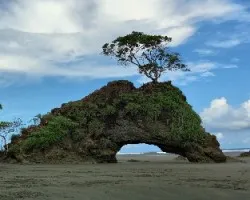 Un arco en llorona