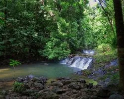 Río san pedrillo