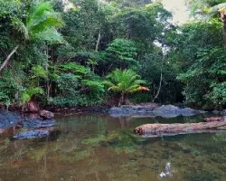 Río pargo