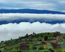 Viviendo entre nubes