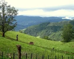 Caminando a navarro
