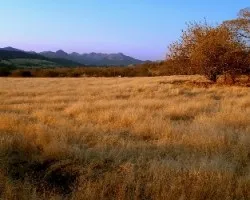 Tierra Caliente.