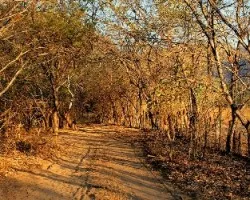 Caminos de Michoacán