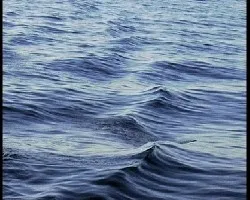 CAMINOS EN LA MAR