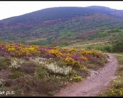  COLORES DE LA MONTAíâ€˜A