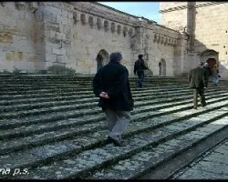De paseo por el tejado