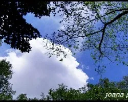 Escapandome de tus brazos