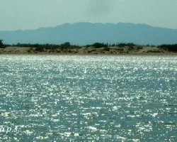 Desembocadura del ebro