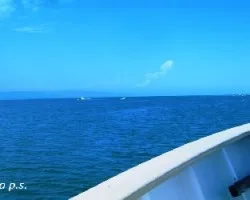 Desembocadura del ebro