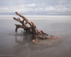 Playa las lajas 2